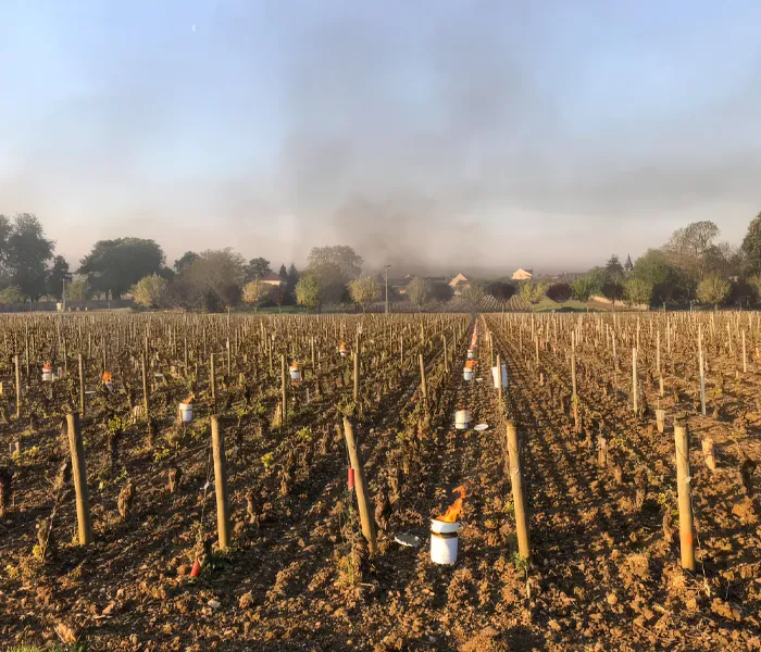 Carrossel Produtores - François Carillon 04