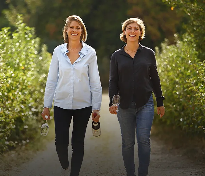 Carrossel Produtores - Matrot 01