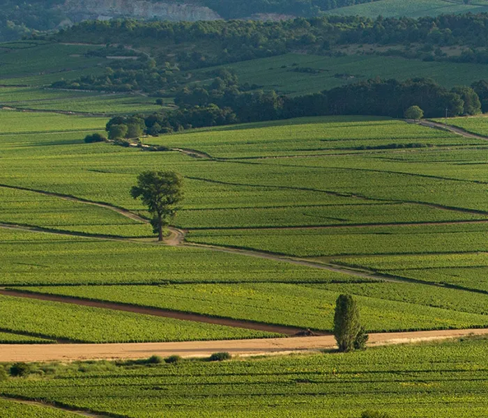 Carrossel Produtores - Matrot 02