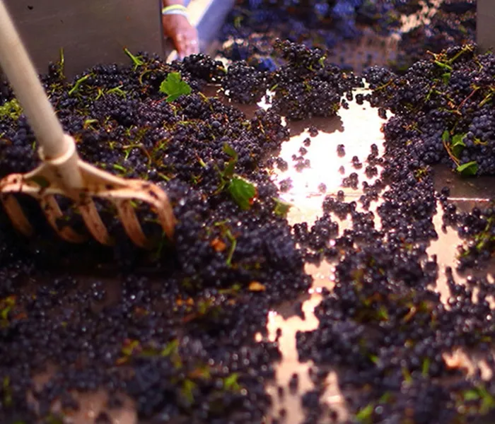 Carrossel Produtores - Matrot 03