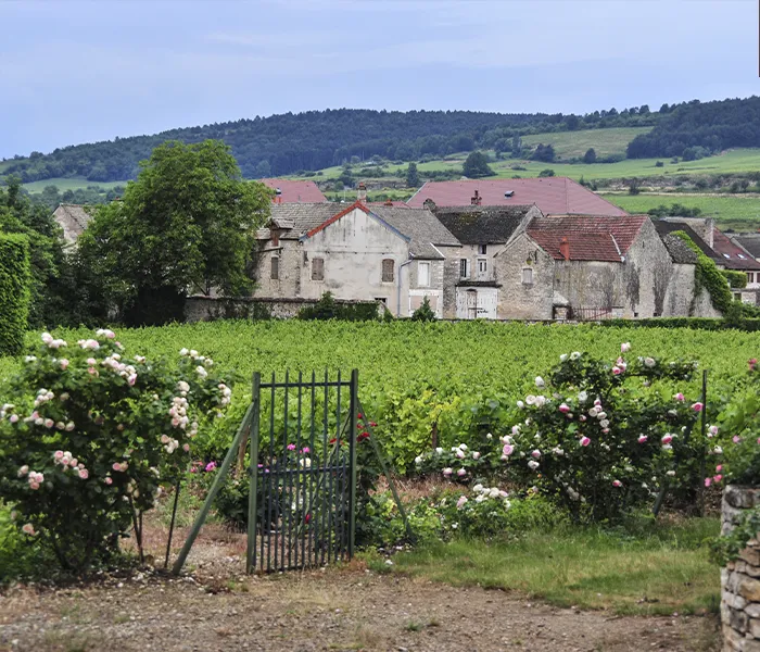 Carrossel Produtores - Matrot 04