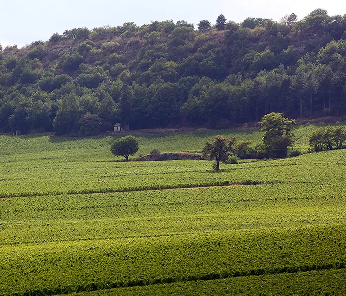 Carrossel Produtores - Matrot 06