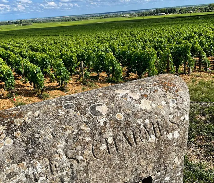 Carrossel Produtores - Matrot 09