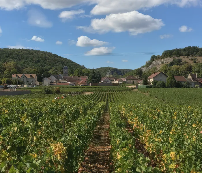 Carrossel Produtores - Méo-Camuzet 02