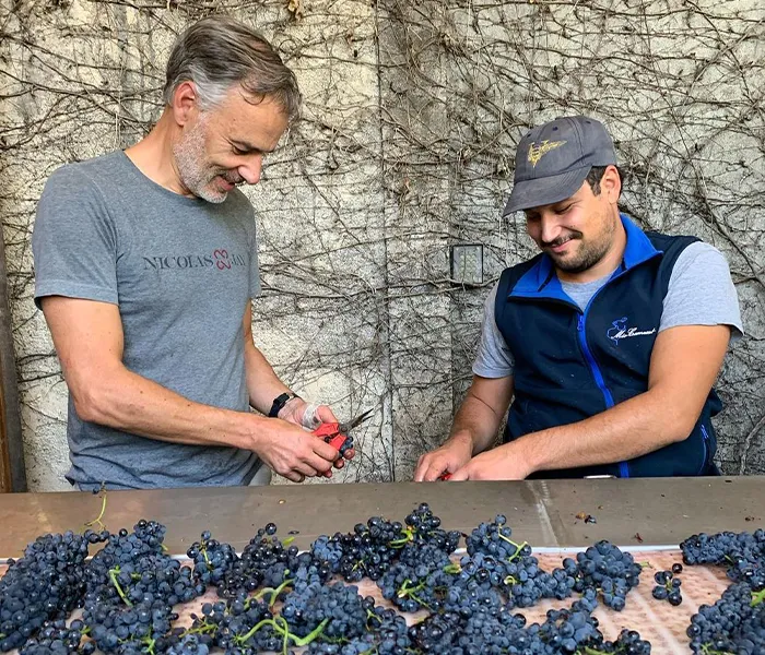 Carrossel Produtores - Méo-Camuzet 05