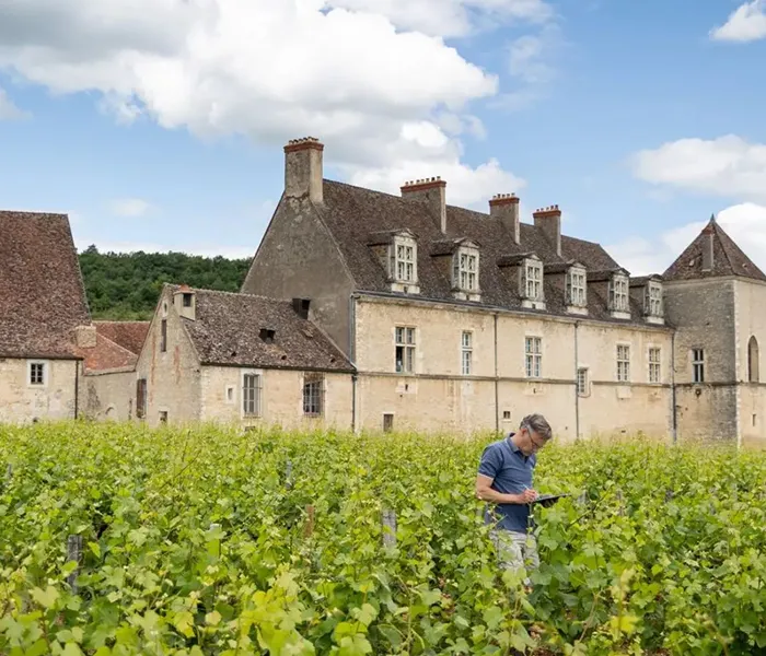 Carrossel Produtores - Méo-Camuzet 06