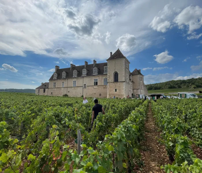 Carrossel Produtores - Méo-Camuzet 08