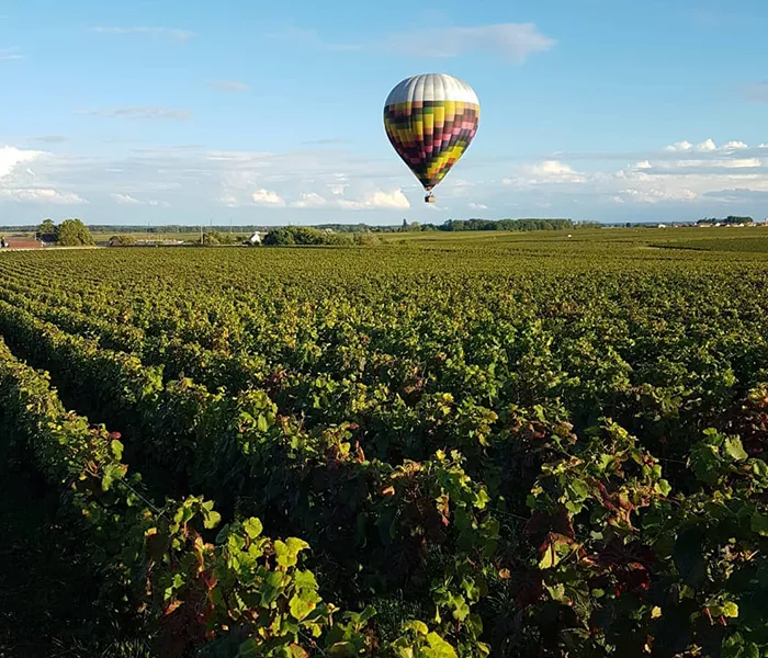 Carrossel Produtores - Méo-Camuzet 09