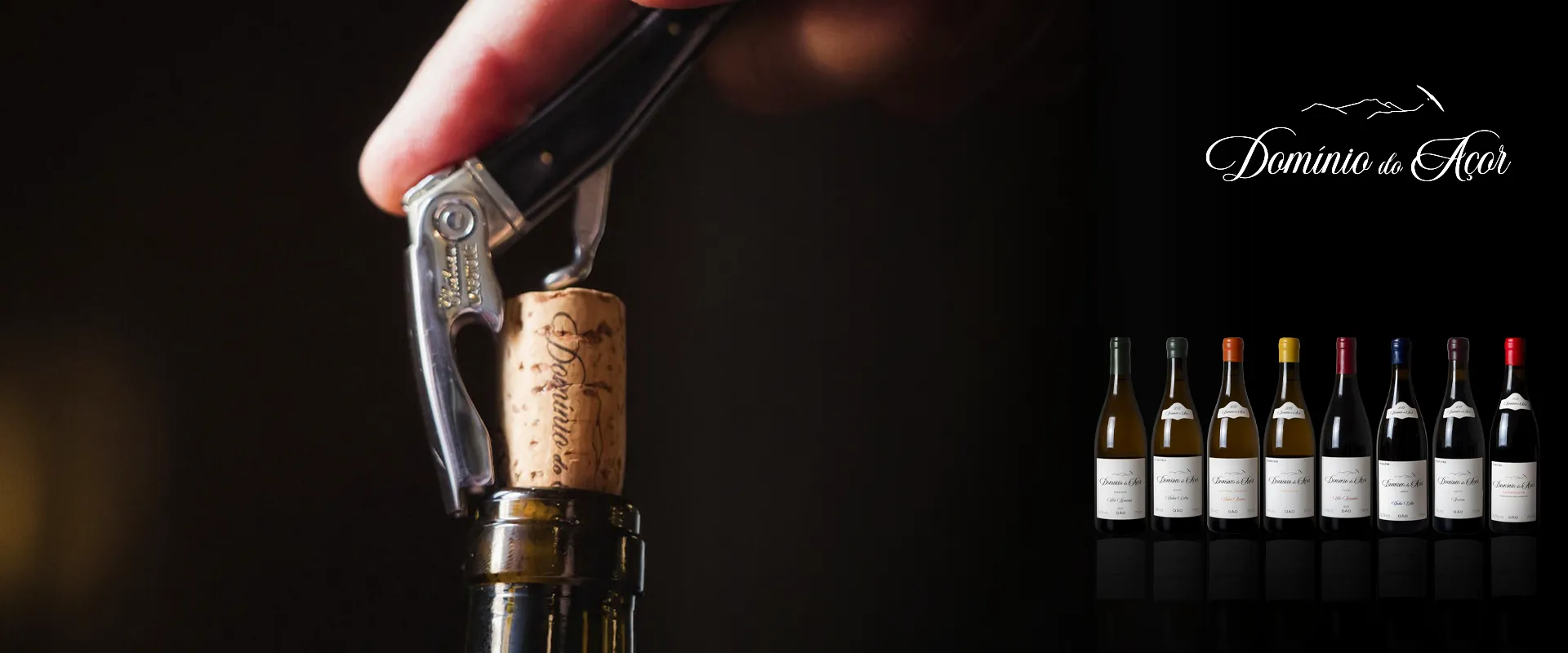 Carrossel Campanha - Dominio do Açor