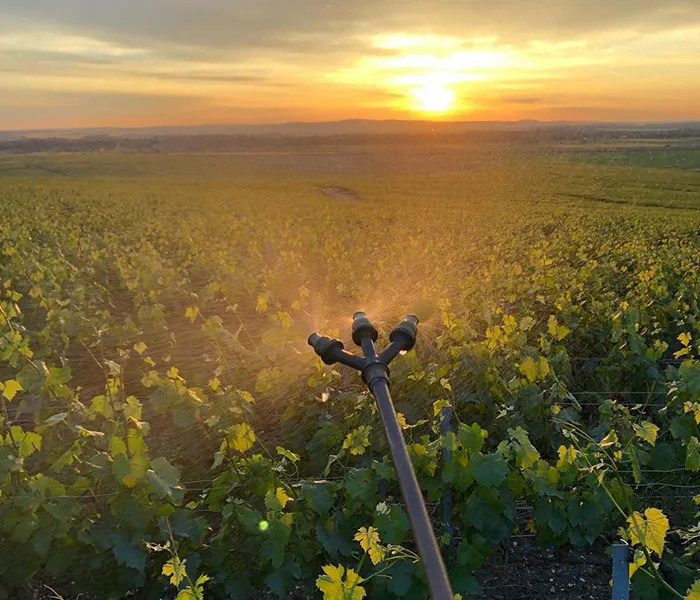 Carrossel Produtores - Adrien Renoir 05