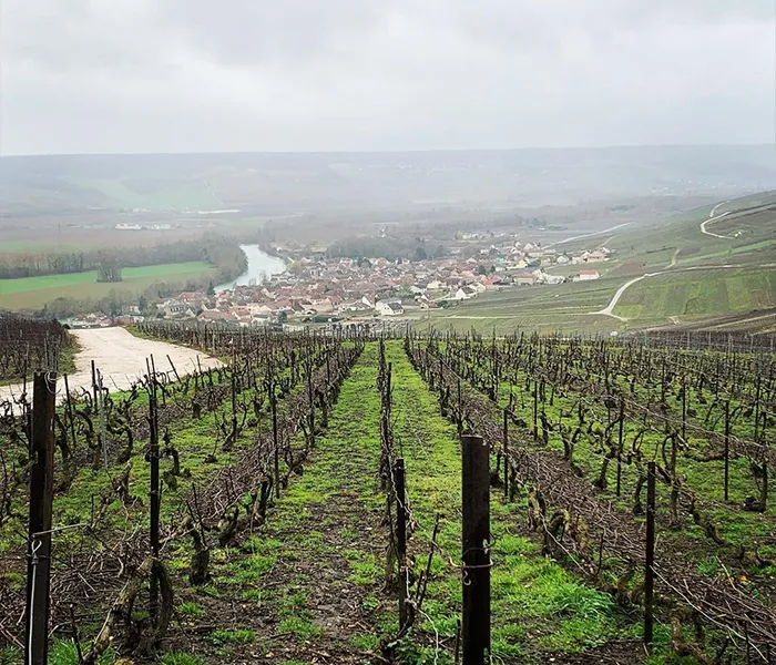 Carrossel Produtores - Adrien Renoir 07