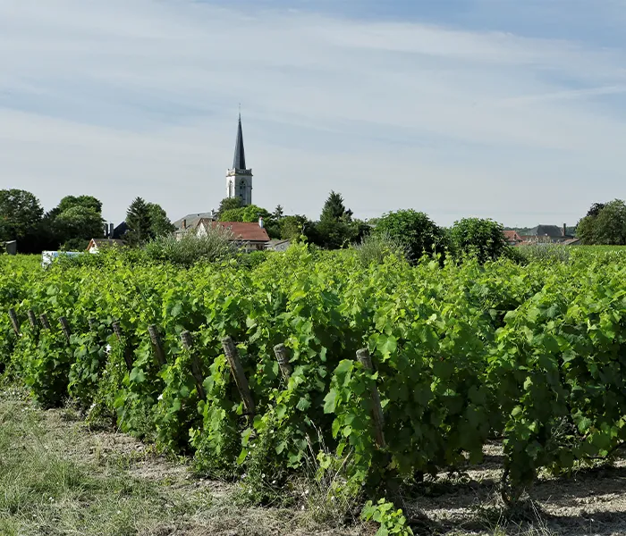 Carrossel Produtores - Agrapart 02