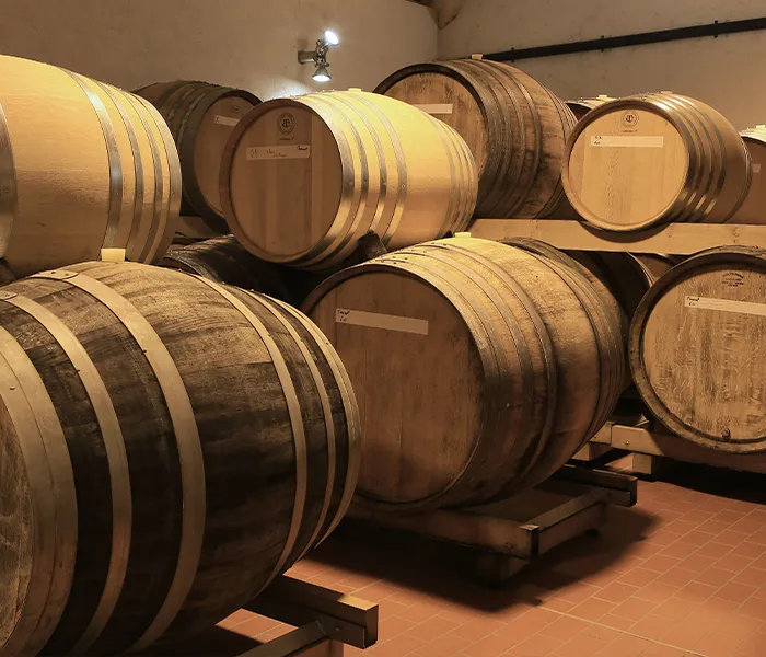 Carrossel Produtores - Agrapart 03