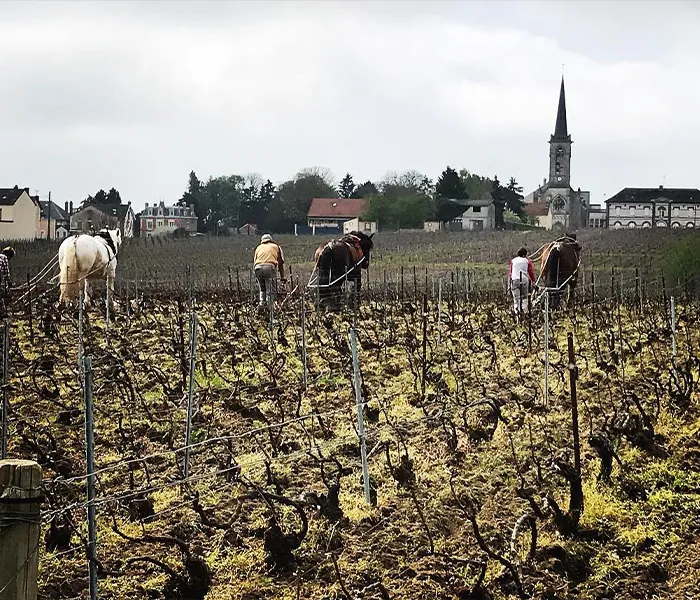 Carrossel Produtores - Agrapart 05