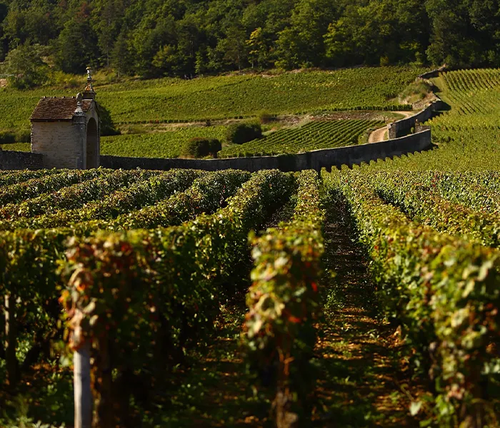 Carrossel Produtores - Armand Rousseau 05