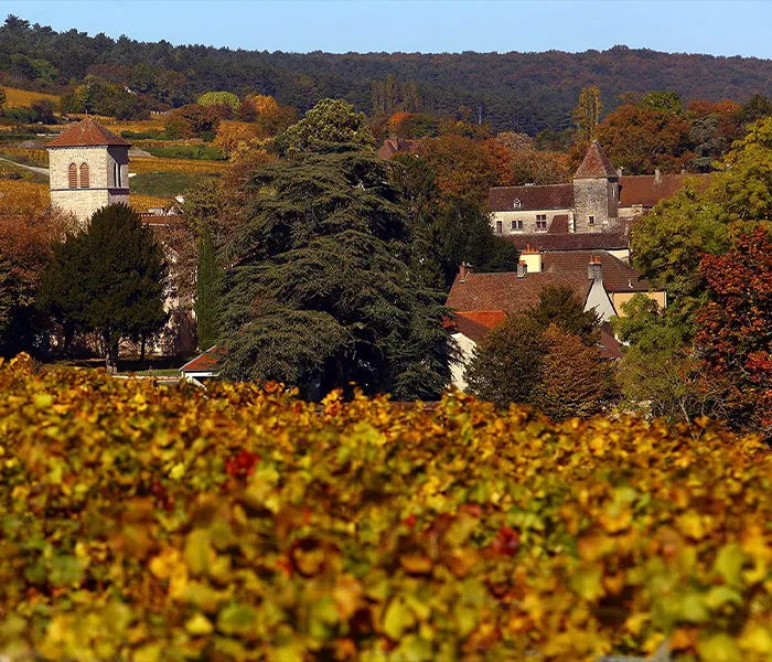 Carrossel Produtores - Armand Rousseau 06