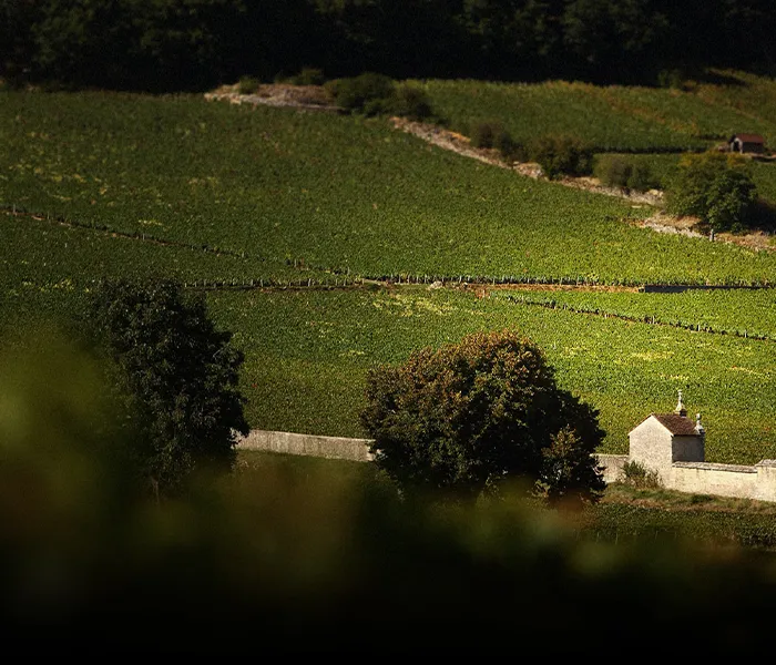 Carrossel Produtores - Armand Rousseau 09