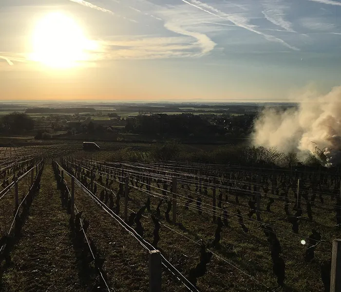 Carrossel Produtores - Berthaut-Gerbet 02