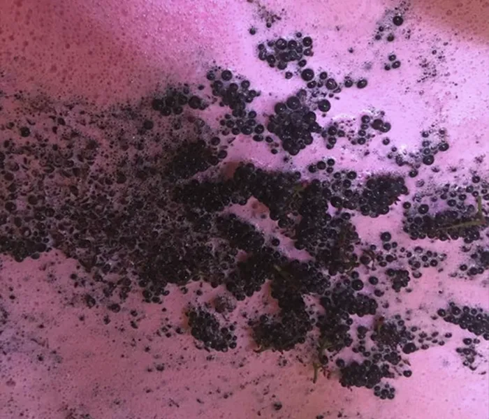 Carrossel Produtores - Berthaut-Gerbet 03