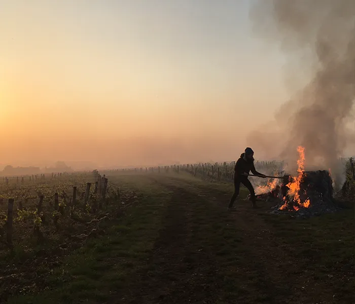 Carrossel Produtores - Berthaut-Gerbet 06