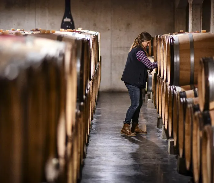 Carrossel Produtores - Berthaut-Gerbet 08