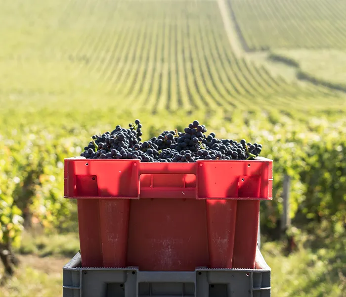 Carrossel Produtores - Berthaut-Gerbet 09