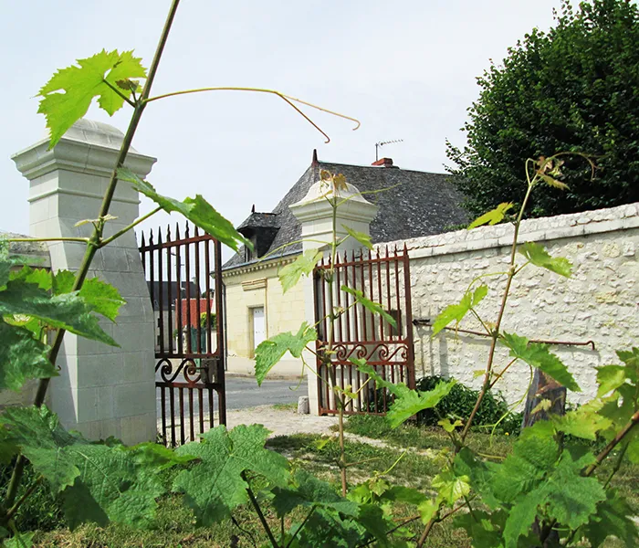 Carrossel Produtores - Domaine du Bel Air 02