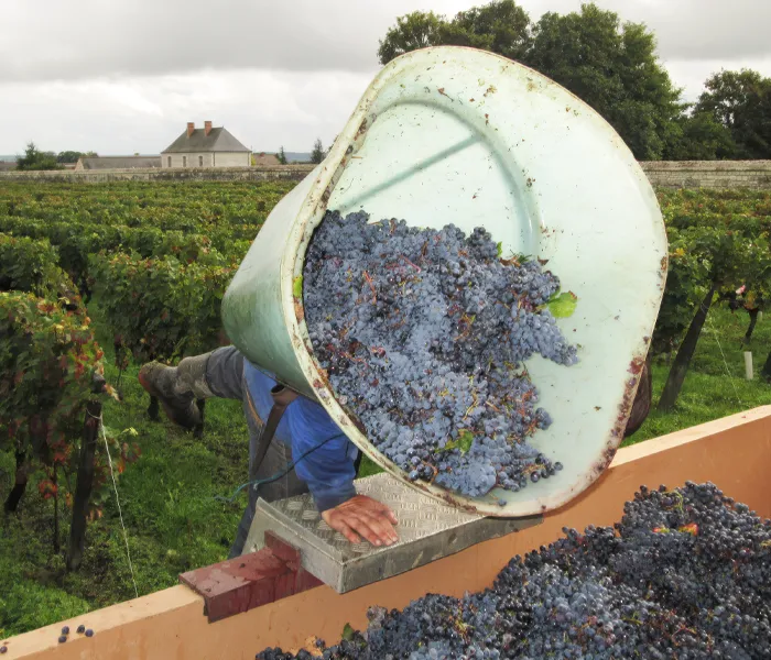 Carrossel Produtores - Domaine du Bel Air 03