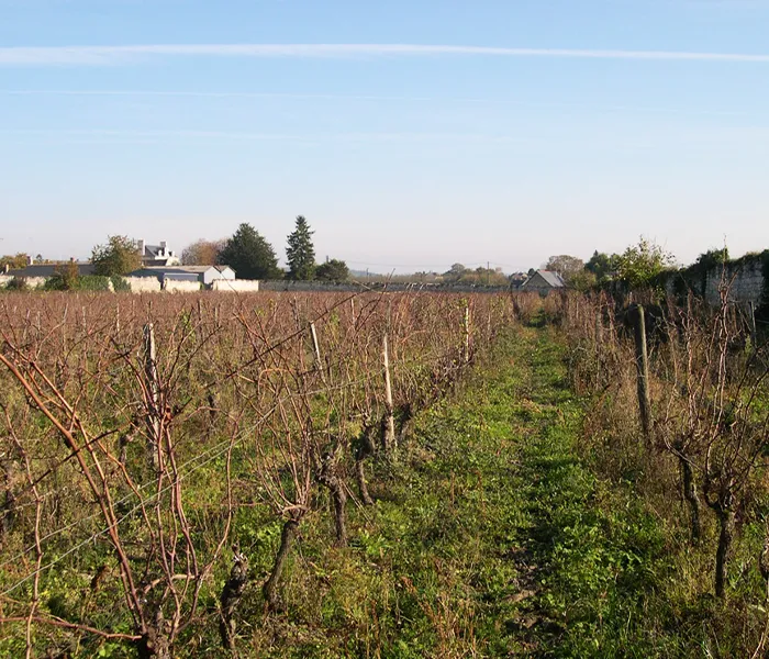 Carrossel Produtores - Domaine du Bel Air 06