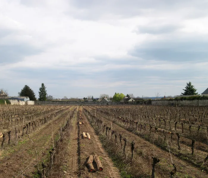 Carrossel Produtores - Domaine du Bel Air 08