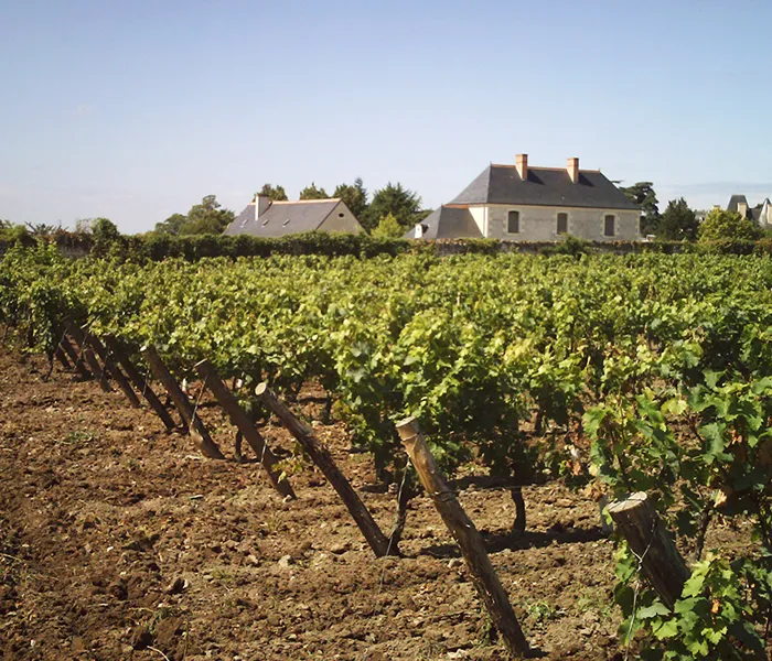 Carrossel Produtores - Domaine du Bel Air 09