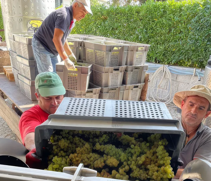 Carrossel Produtores - Domínio do Açor 01