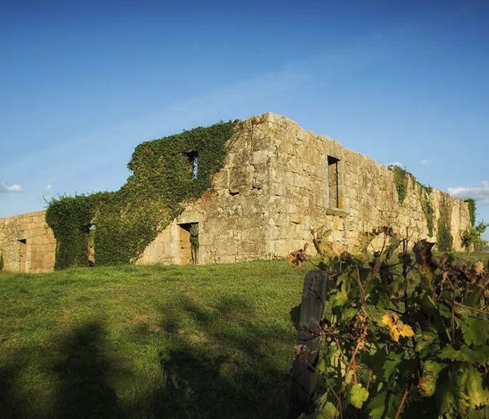 Carrossel Produtores - Domínio do Açor 09