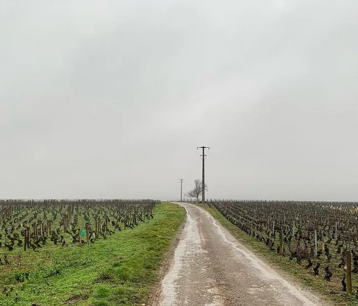 Carrossel Produtores - Dujac 06