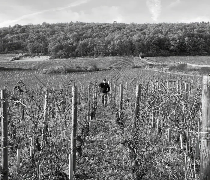 Carrossel Produtores - Duroché 01