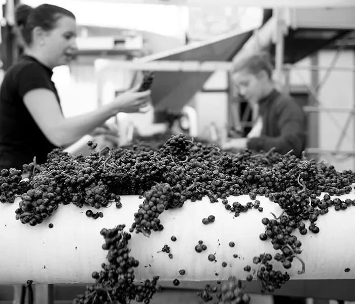 Carrossel Produtores - Duroché 05