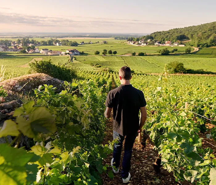 Carrossel Produtores - Duroché 07