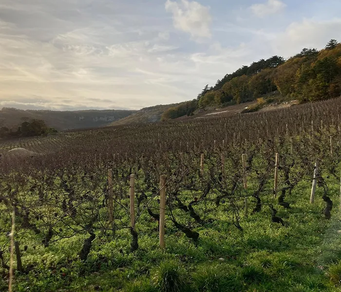 Carrossel Produtores - Duroché 09