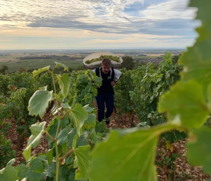 Carrossel Produtores - Etienne Sauzet 01