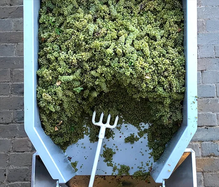 Carrossel Produtores - Etienne Sauzet 05