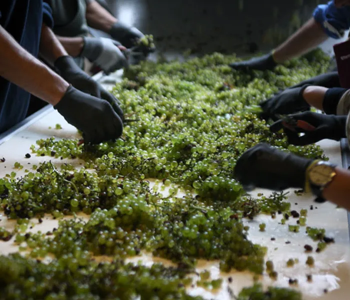 Carrossel Produtores - Etienne Sauzet 08