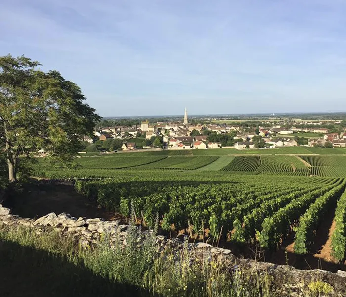 Carrossel Produtores - Henri Germain 02