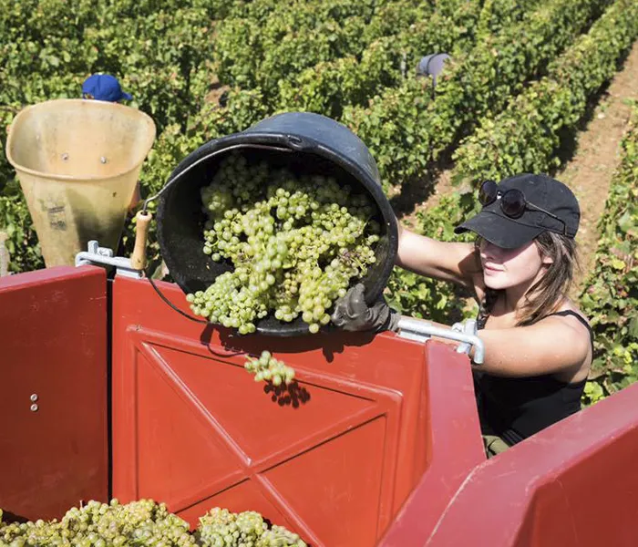 Carrossel Produtores - Henri Germain 03