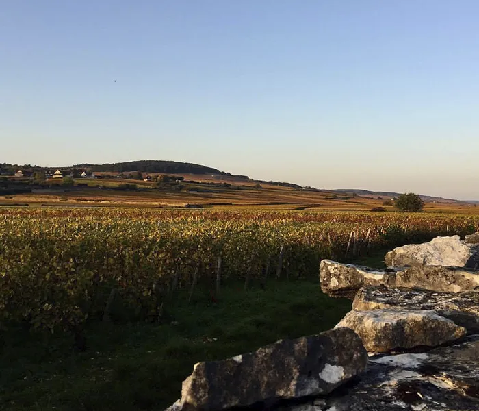 Carrossel Produtores - Henri Germain 06