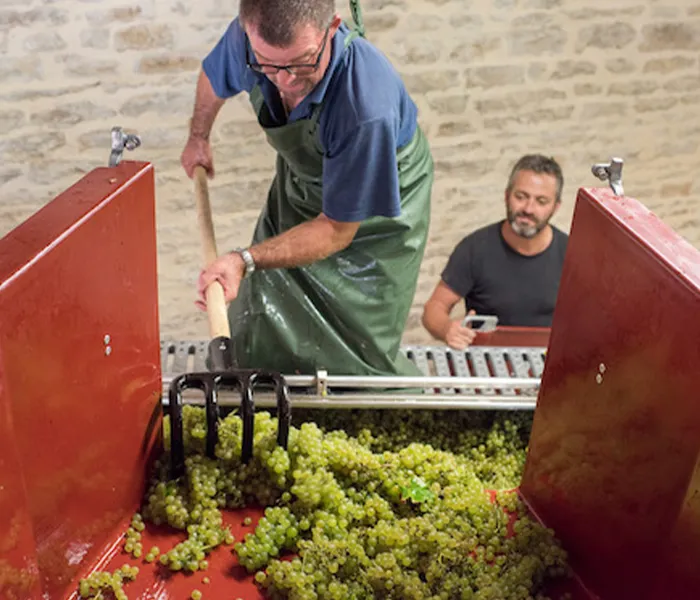 Carrossel Produtores - Henri Germain 08