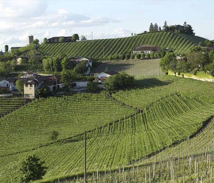 Carrossel Produtores - Roagna 02