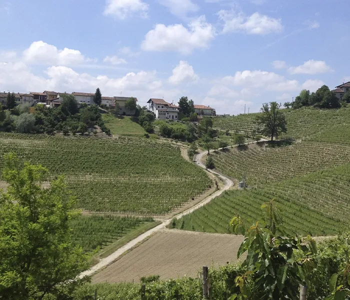 Carrossel Produtores - Roagna 03