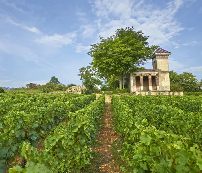 Carrossel Produtores - Roulot 04