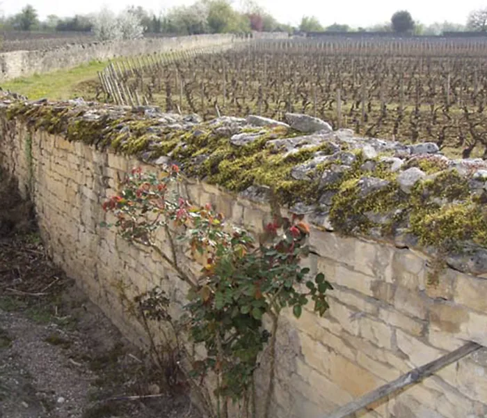 Carrossel Produtores - Roulot 06