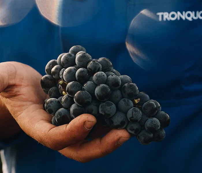 Carrossel Produtores - Tronquoy 04